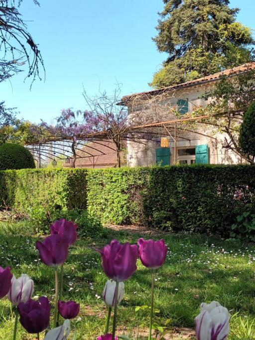 Ferienwohnung Charmant Studio Avec Jardin A La Campagne Sur Le Chemin De Saint Jacques De Compostelle Lauzerte Exterior foto
